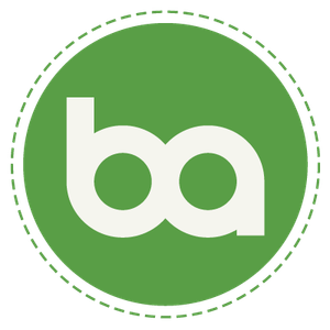 businessanalyst.co.nz