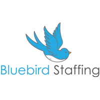 Bluebird Staffing