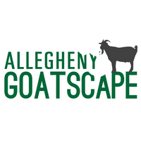 Allegheny GoatScape 