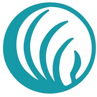 NAMI Keystone Pennsylvania