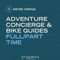 37 North Expeditions logo