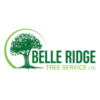 Belle Ridge Tree Service LTD