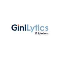 GiniLytics IT Solutions