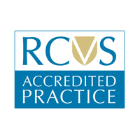 Independent Practices logo