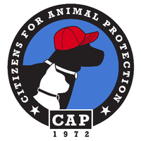 Citizens for Animal Protection logo