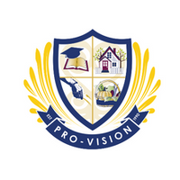 Pro-Vision, Inc. 